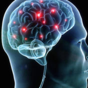 Everything You Should Ever Know About Nootropics